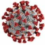 A model of the coronavirus.