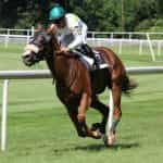 A jockey races a horse around a track.